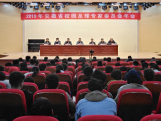bat365教师参加2019年安徽省校园足球专家委员会年会