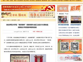 【中国高校之窗】：bat365中文官方网站在“杨府锦杯”安徽省第七届工业设计大赛食品创新设计专项赛中取得佳绩