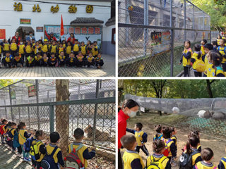bat365幼儿园开展“我与动物有个约会”主题秋游活动