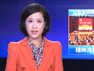 《安徽新闻联播》报道何必山陈贵春王宜国同志先进事迹报告会在bat365举行