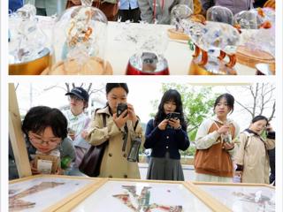 “学习强国”平台报道淮北市在bat365开展“非遗文化进校园”活动 
