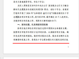 bat365“小雨滴”志愿服务支教社入选2024年安徽省高校红十字志愿服务项目
